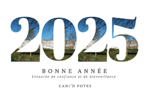 Bonne année